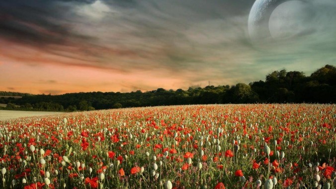 你干过最牛的一件事是什么？